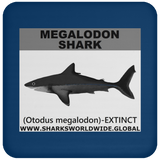 SSP MEGALODON C