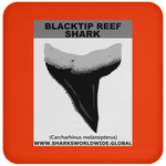 GR BLACKTIP REEF T C