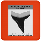 GR BLACKTIP REEF T C