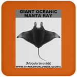 G OCEANIC MANTA C