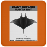 G OCEANIC MANTA C