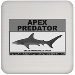 AP G HAMMERHEAD C