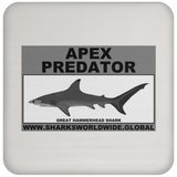 AP G HAMMERHEAD C
