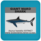 SSP GIANT MAKO C