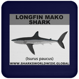 SSP LONGFIN C
