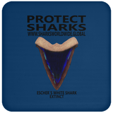 PSKT ESW C