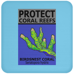 PCRS BIRDS C