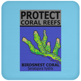 PCRS BIRDS C