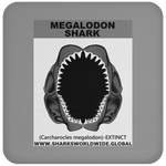 GR MEGALODON J C