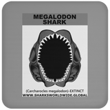GR MEGALODON J C