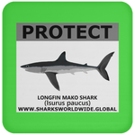 PRS LONGFIN V2 C