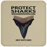 PSKT GWS V4 C
