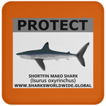 PRS SHORTFIN V2 C