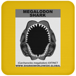 GR MEGALODON J C