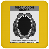 GR MEGALODON J C