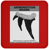 GR AKMONISTION T C