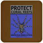 PCRS GBR C