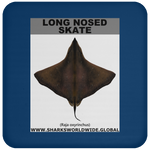 LONG NOSED SKATE C