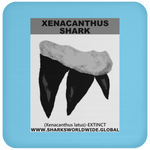 GR XENACANTHUS T C