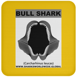GR BULL SHARK J C