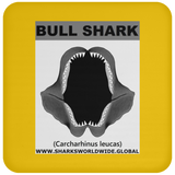 GR BULL SHARK J C