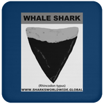 GR WHALE S T C