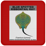 GR BS RIBBONTAIL C