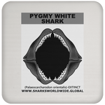 GR PYGW J C
