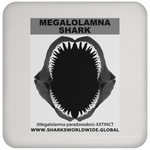 GR MEGALOLAM J C