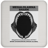 GR MEGALOLAM J C