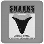 GR SSPX T MEGALODON C