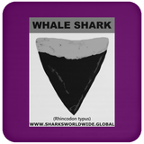 GR WHALE S T C