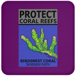 PCRS BIRDS C