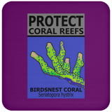 PCRS BIRDS C