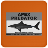 AP MEGALODON C