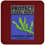 PCRS BIRDS C