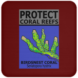 PCRS BIRDS C