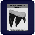 GR XENACANTHUS T C