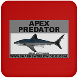 AP GREAT WHITE C