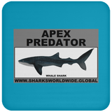 AP WHALE S C