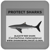 PRS BLACKTIP REEF V1 C