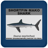 SSP SHORTFIN C