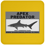 AP G HAMMERHEAD C