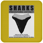GR SSPX T MEGALODON C