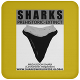 GR SSPX T MEGALODON C