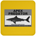 AP MEGALODON C