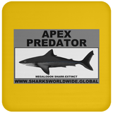 AP MEGALODON C