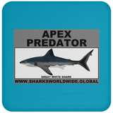 AP GREAT WHITE C