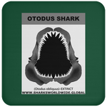 GR OTODUS J C