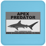AP G HAMMERHEAD C